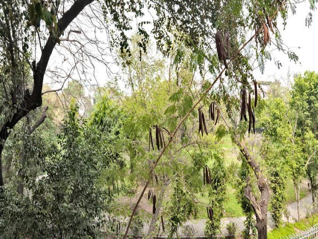 Haveli Hauz Khas Bed & Breakfast New Delhi Rom bilde